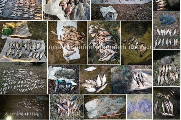 Чернігівським рибоохоронним патрулем протягом квітня зафіксовано 210 порушень