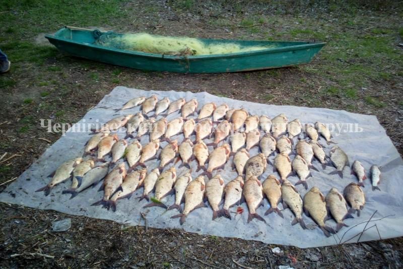 Чернігівським рибоохоронним патрулем за два дні вилучено 80 кг незаконно добутої риби