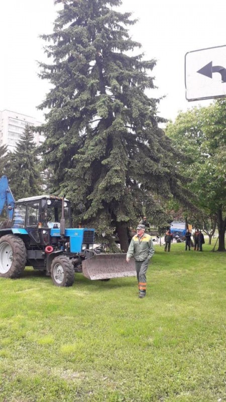 "Зеленбуд" поставив на розтяжки ялину, на яку жалілись чернігівці