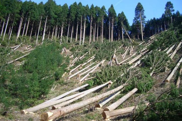 Прокуратура стягує кошти на користь громади у судовому порядку