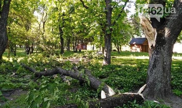 На випадок повторення буревію у Чернігові для мешканців міста розробили рекомендації