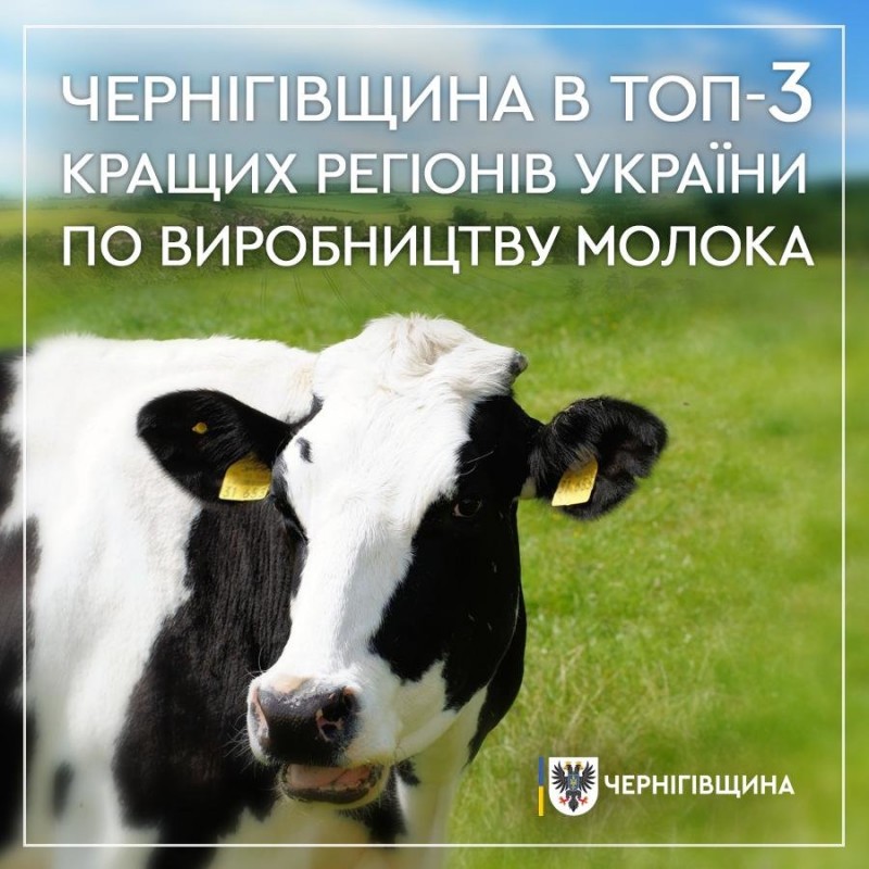 Український рейтинг виробництва молока: Чернігівщина у ТОП-3