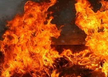 Упродовж минулого тижня рятувальники Чернігівщини 35 разів залучались до ліквідації пожеж