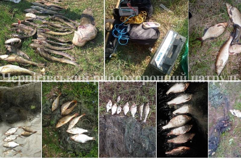 За тиждень на Чернігівщині 29 разів порушили Правила рибальства