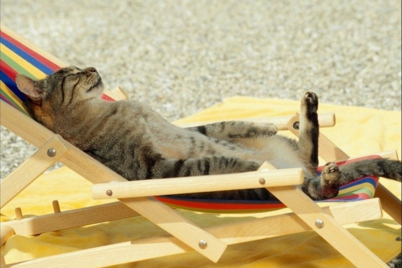 Синоптики розповіли про прогноз погоди на вівторок