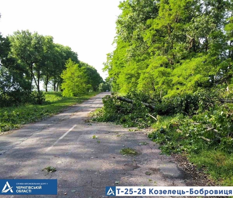 З автошляхів Чернігівщини прибирали повалені буревієм дерева