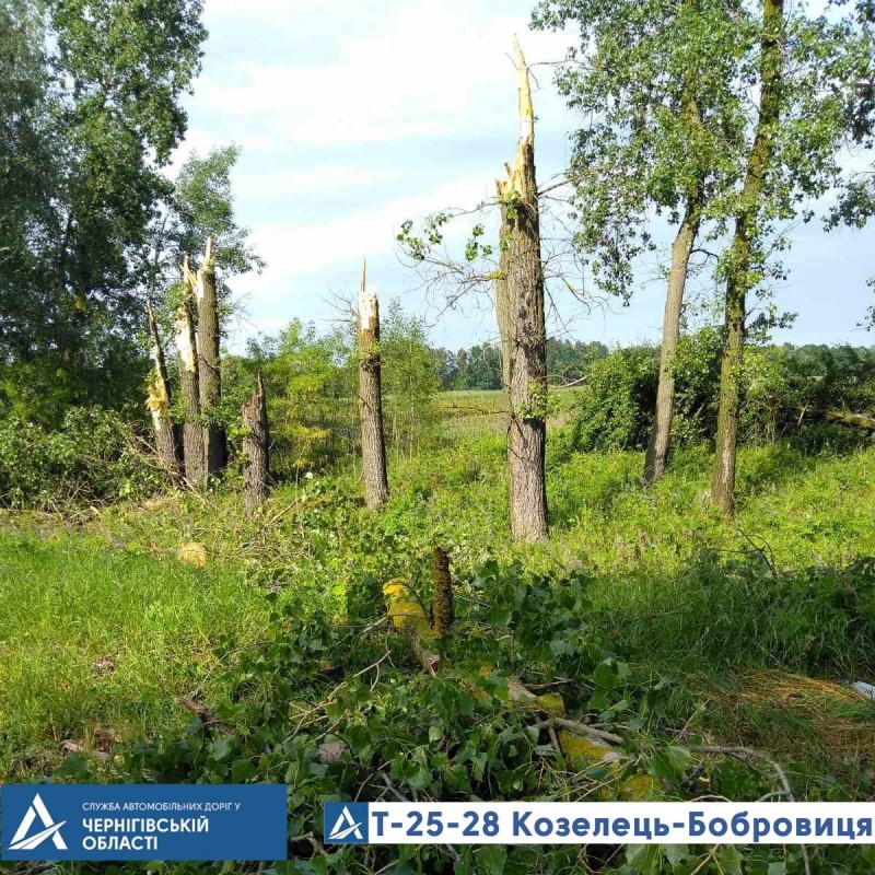 З автошляхів Чернігівщини прибирали повалені буревієм дерева