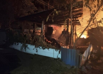 Згорів трактор і чотири споруди: на Чернігівщині лютув вогонь