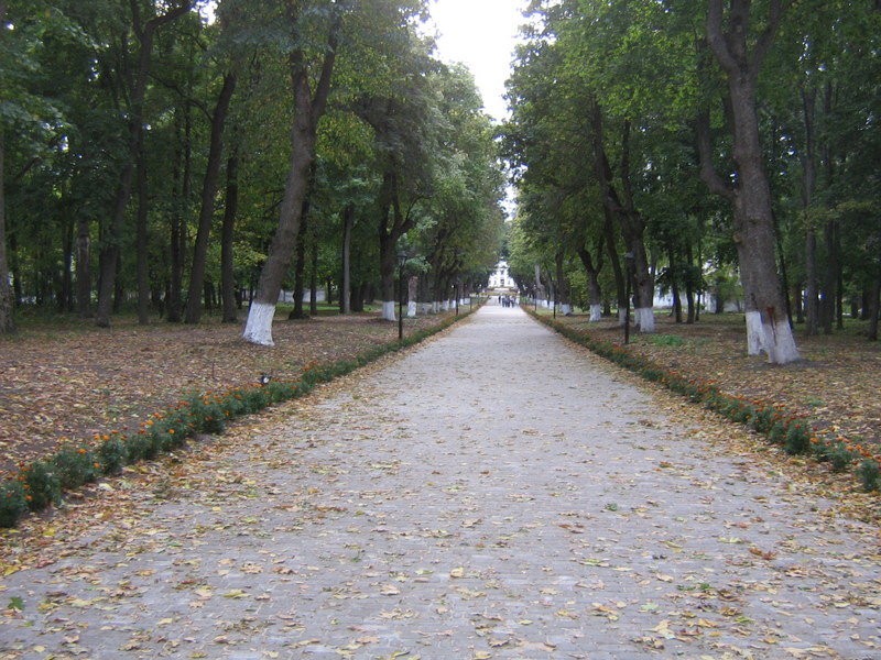 Куди поїхати з Чернігова на вихідні? ТОП-10 ідей