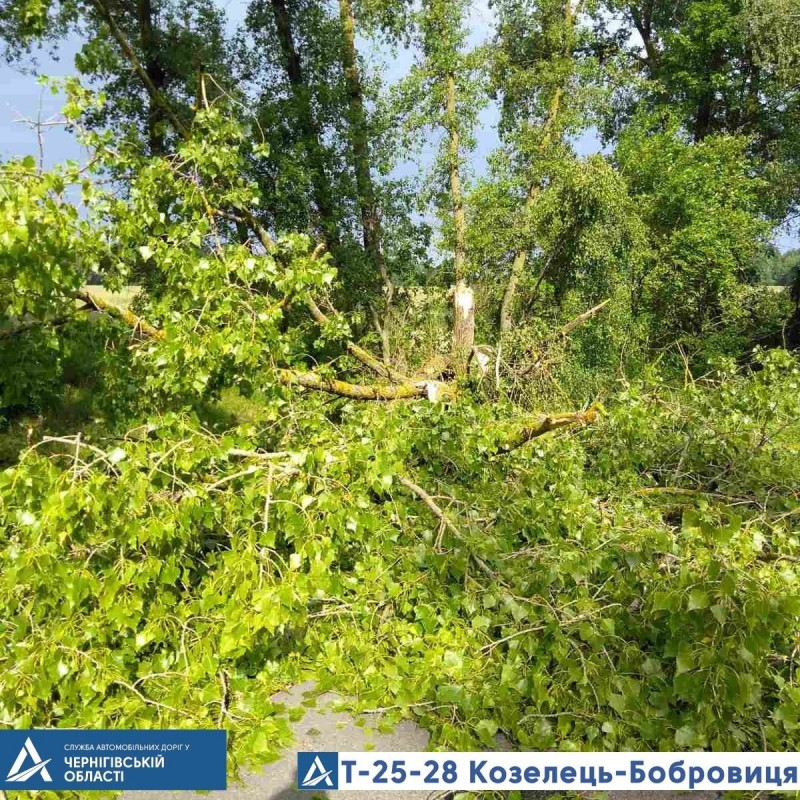 З автошляхів Чернігівщини прибирали повалені буревієм дерева