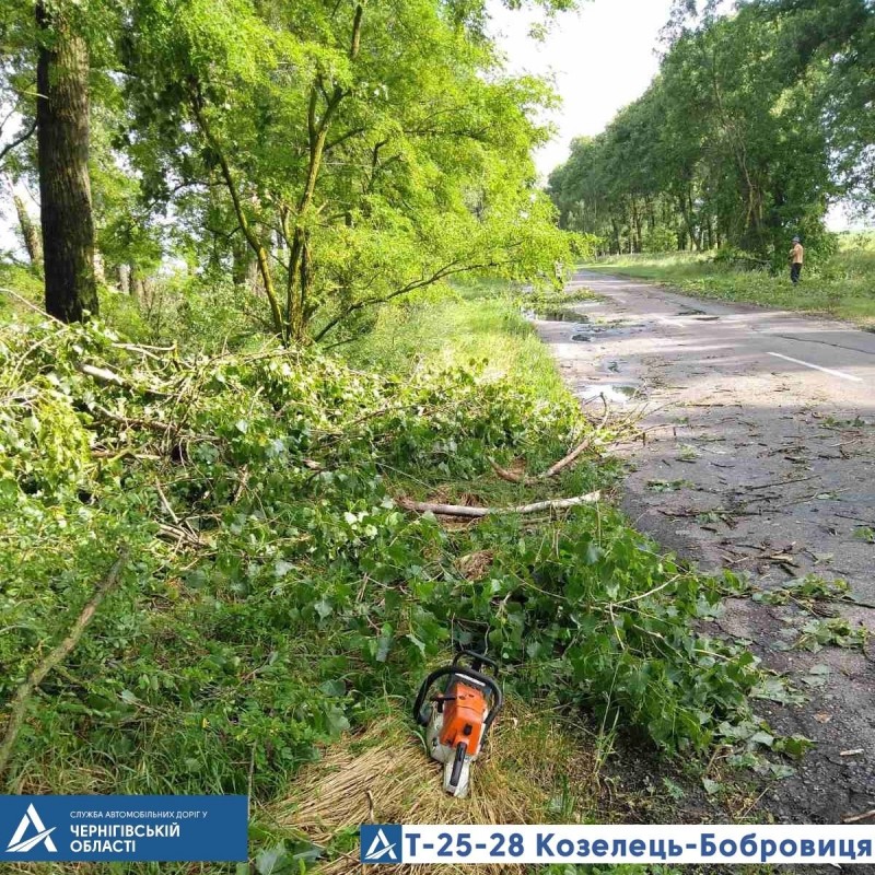 З автошляхів Чернігівщини прибирали повалені буревієм дерева