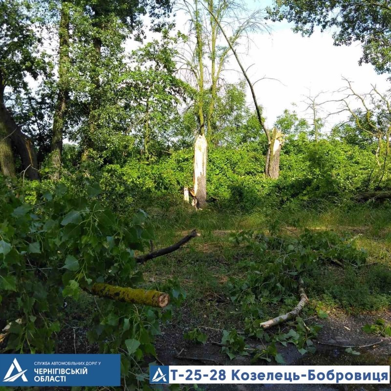 З автошляхів Чернігівщини прибирали повалені буревієм дерева