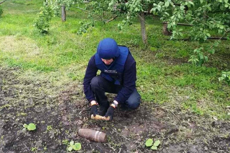 Вибухівка на городі: замість врожаю на Чернігівщині збирали снаряди
