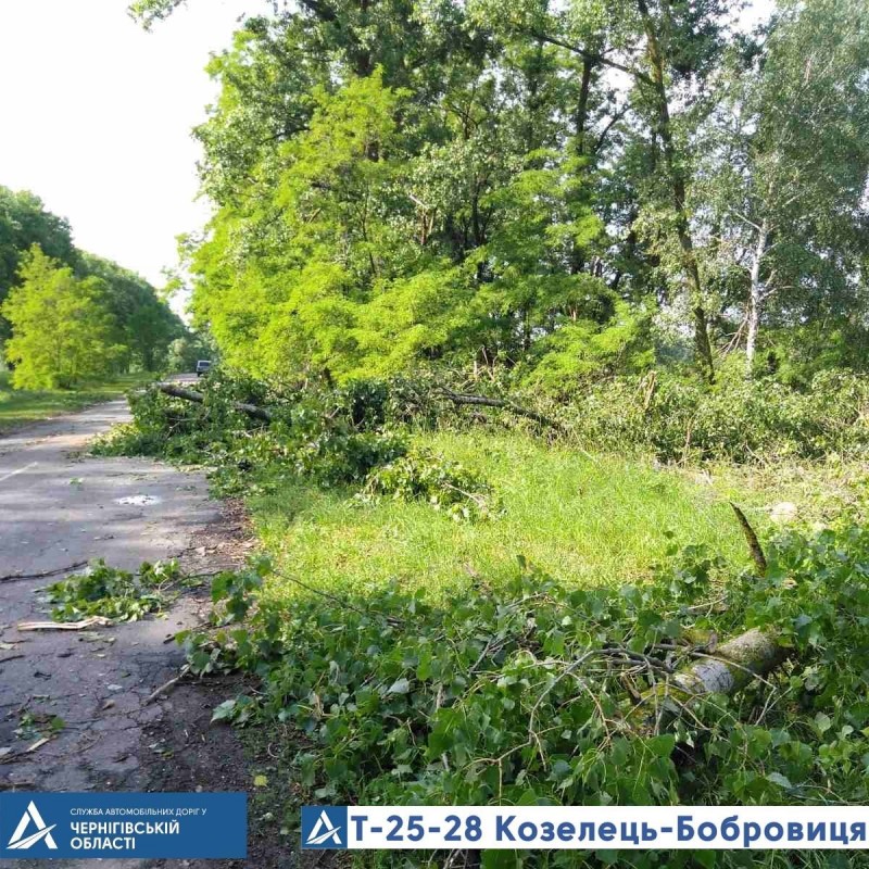 З автошляхів Чернігівщини прибирали повалені буревієм дерева
