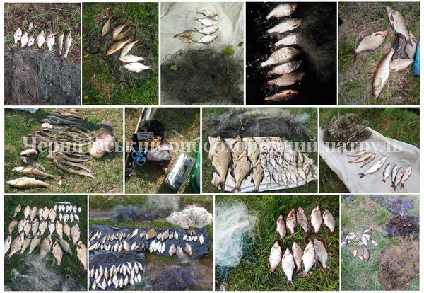 Третину тони риби та шість кілометрів сіток вилучили у бракон'єрів чернігівські рибоохоронці