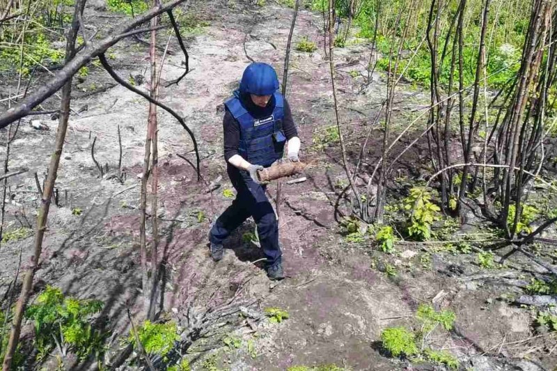 Вибухівка на городі: замість врожаю на Чернігівщині збирали снаряди