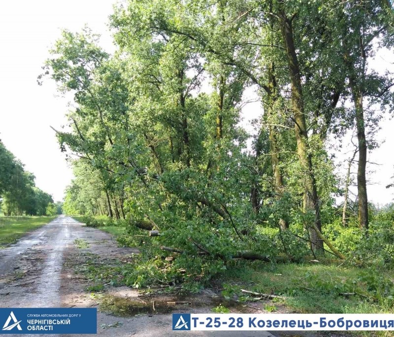 З автошляхів Чернігівщини прибирали повалені буревієм дерева