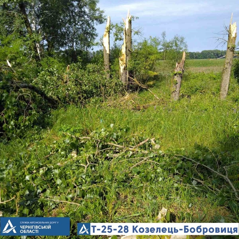 З автошляхів Чернігівщини прибирали повалені буревієм дерева