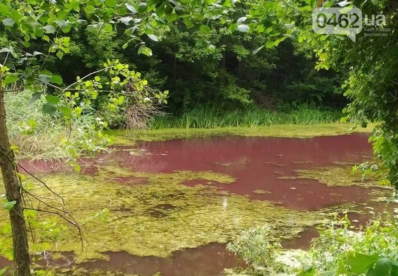 У Ніжині вода в озері стала рожевою