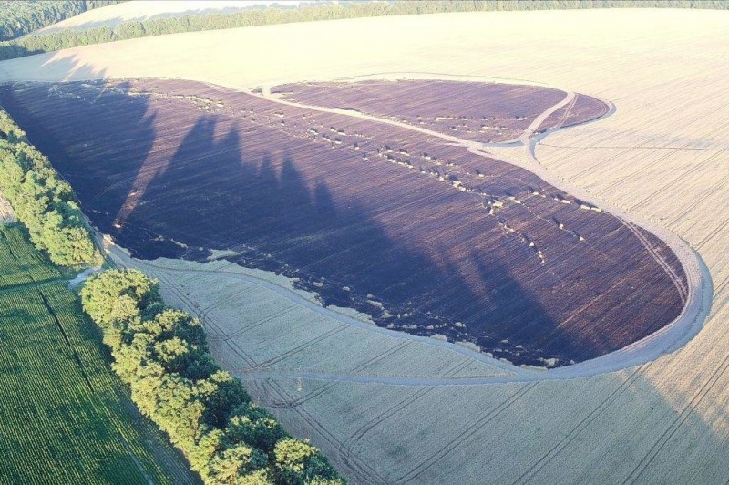Наслідки підпалу: на Чернігівщині вигоріло 25 гектарів пшениці та ячменю