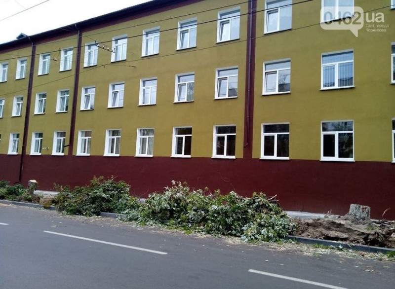 На вулиці Гончій у Чернігові спиляли дерева заради оновлення тротуару