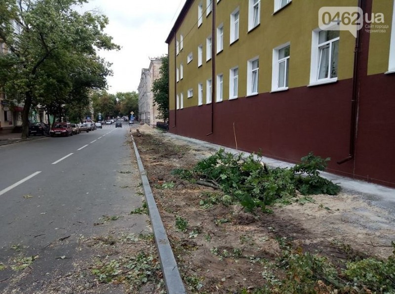 На вулиці Гончій у Чернігові спиляли дерева заради оновлення тротуару