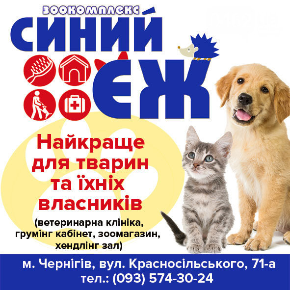 Мій домашній улюбленець