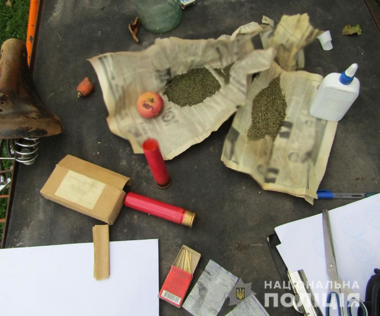 У Прилуках у місцевого мешканця виявили півсотні кущів конопель
