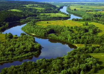 Загадкова пожежа, тіло в лісі й кліп школярок: інфодайджест суботи