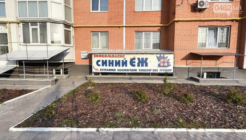 Мій домашній улюбленець