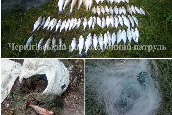 Чернігівським рибоохоронним патрулем за тиждень зафіксовано 12 порушень Правил рибальства