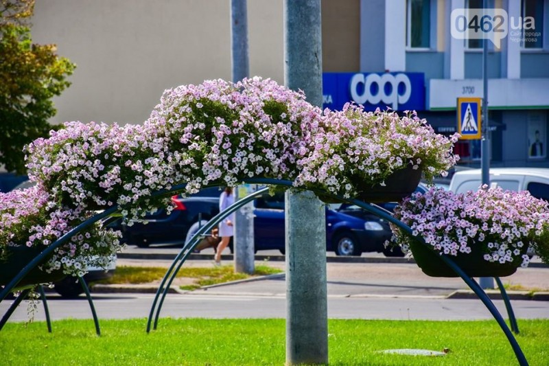 На П’яти кутах у Чернігові – «квітковий сад»