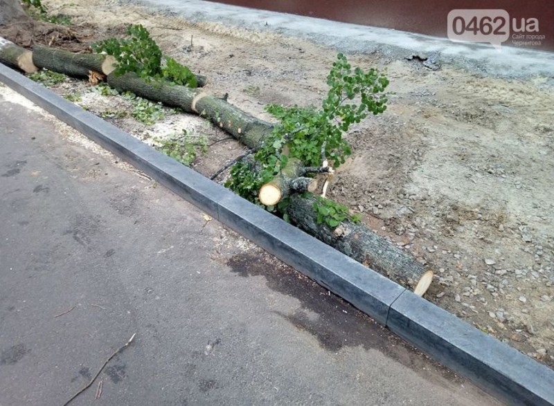 На вулиці Гончій у Чернігові спиляли дерева заради оновлення тротуару