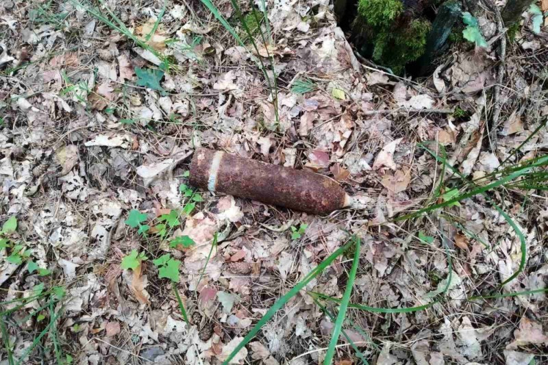 Пішли по гриби – знайшли снаряд: відлуння війни під Черніговом