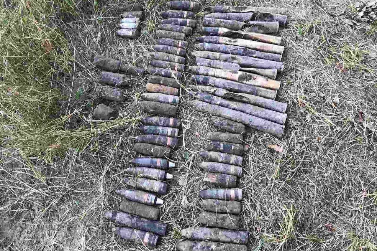 В лісосмузі неподалік Чернігова знайшли цілий арсенал вибухівки