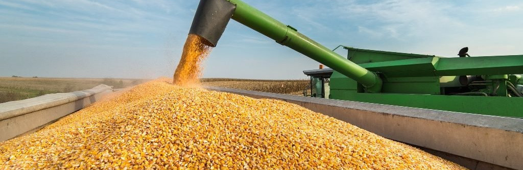 Аграрії Чернігівщини зібрали перший мільйон тонн зерна в 2020 році