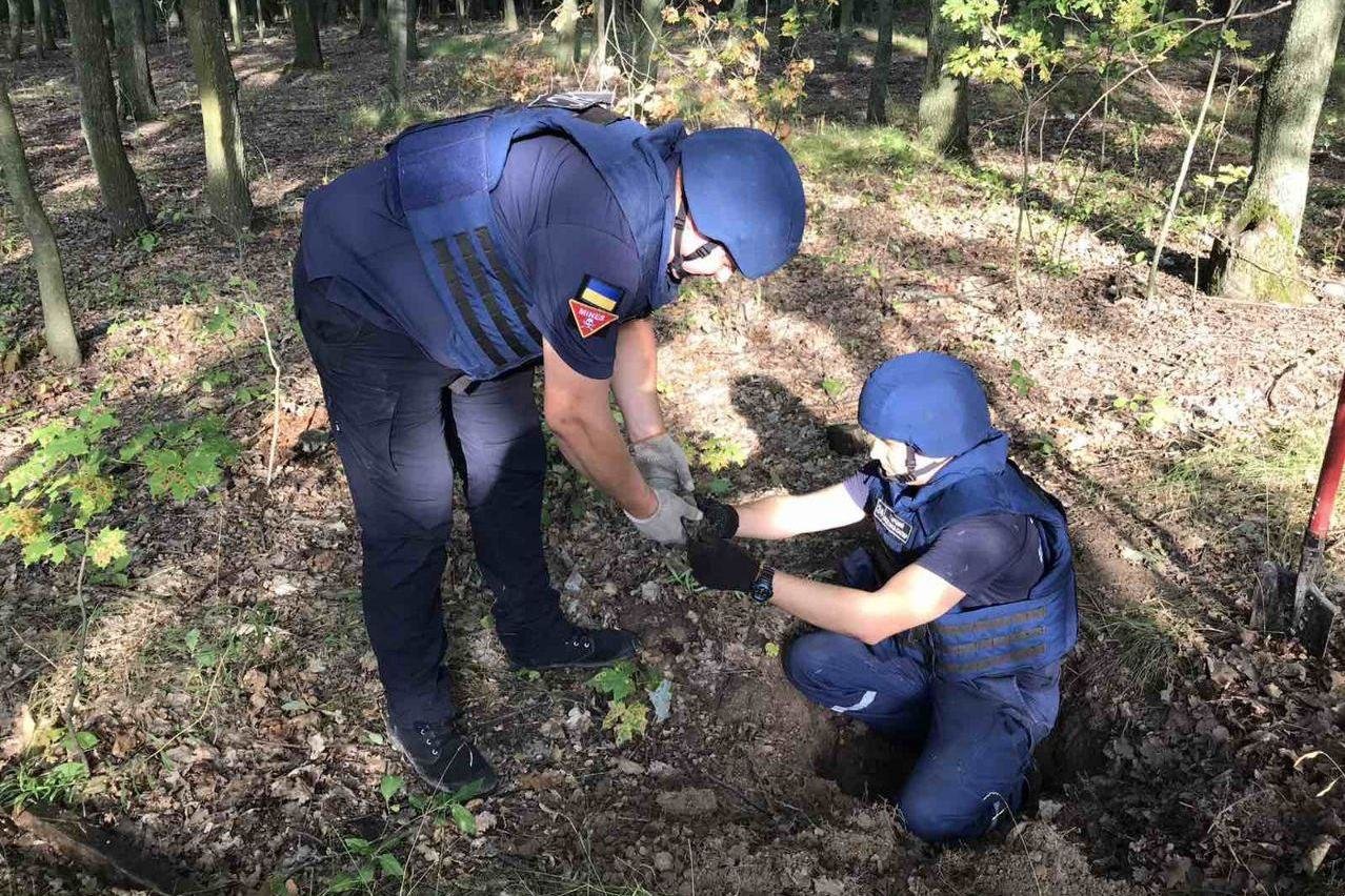 В лісосмузі неподалік Чернігова знайшли цілий арсенал вибухівки