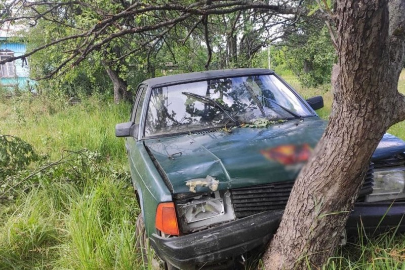 У Сновському районі 17-річний молодик врізався в дерево на вкраденій автівці (Фото)