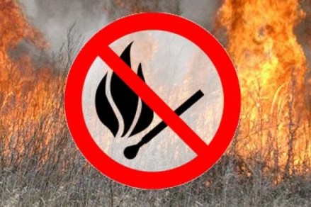 У Чернігівській області упродовж минулої доби рятувальники ліквідували 10 загорянь сухої рослинності