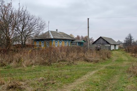 Сокира в руках чи газовий вентиль: як селяни Чернігівщини до зими готуються