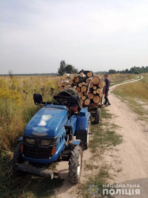 На Чернігівщині поліція викрила чорного лісоруба