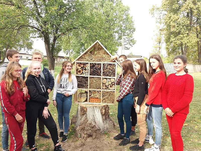 На Чернігівщині школярі виготовили та встановили «готелі для комах»