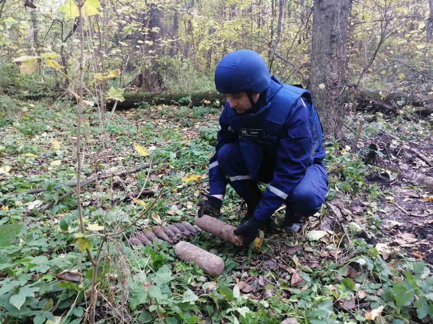 Смерть під опалим листям: 2 авіабомби та 8 мін знайшли в лісі на Чернігівщині