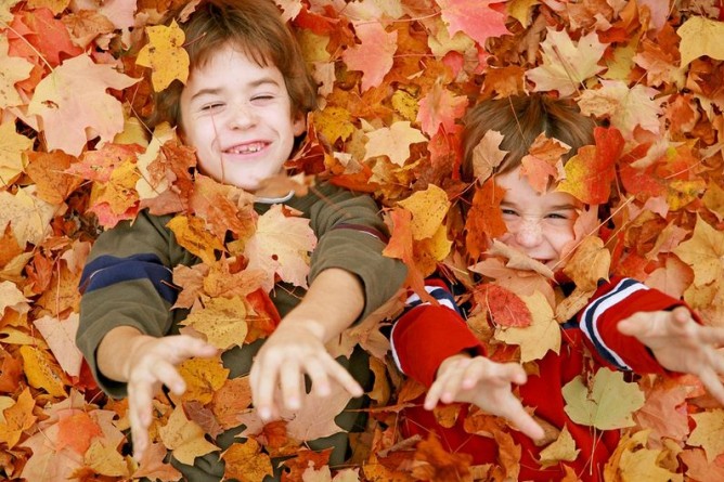 МОН рекомендує встановити канікули у школах з 15 до 30 жовтня
