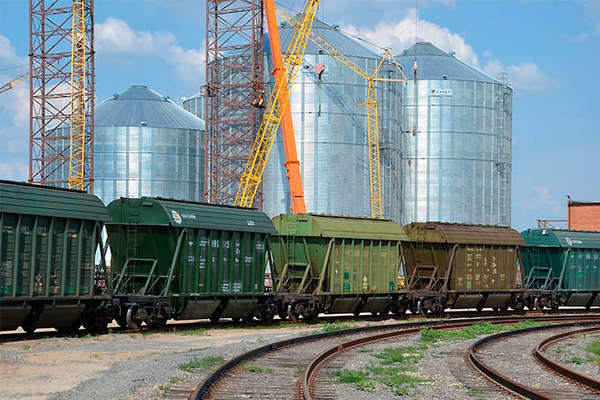 Майже сто вагонів за добу: на Чернігівщині встановили аграрний рекорд