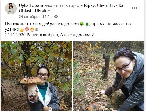 На Чернігівщині знайшли гриб-велетень (Фотофакт)