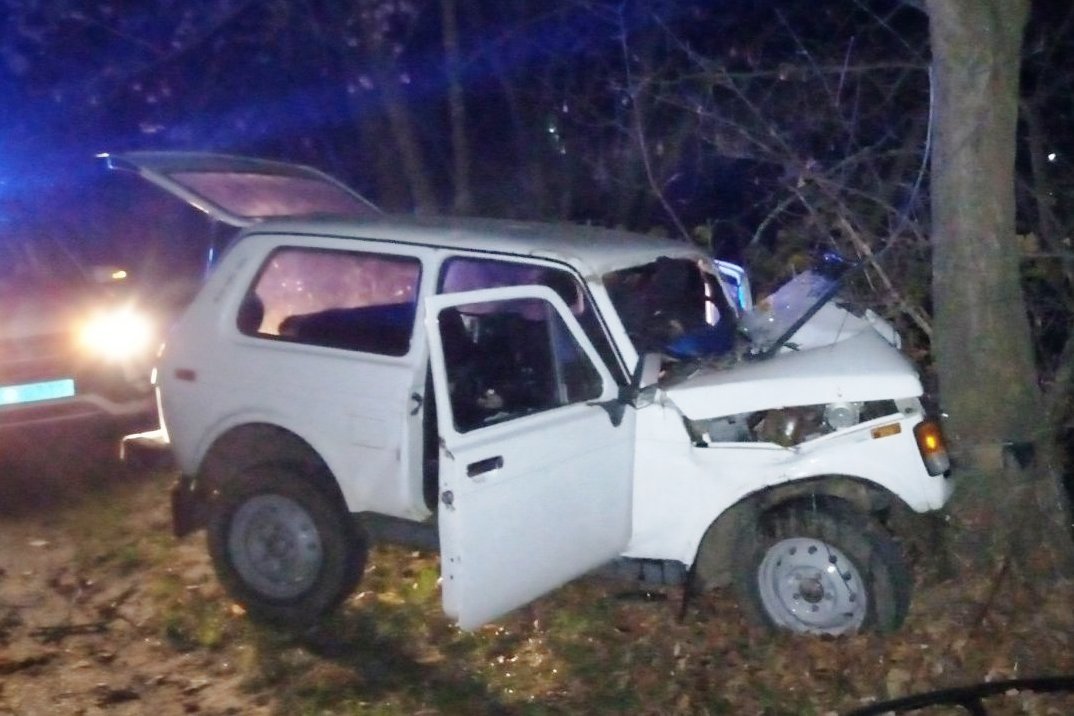 Водій загинув на місці: на Чернігівщині автівка не розминулася з деревом