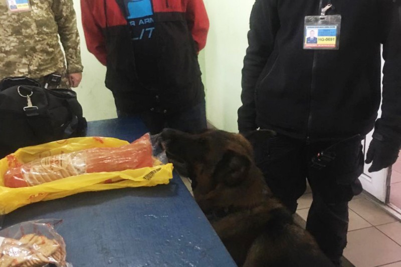 Хліб з амфетаміном виявив службовий пес на чернігівському кордоні