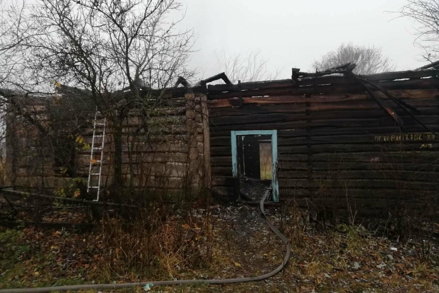 У пожежах на Чернігівщині загинуло двоє людей