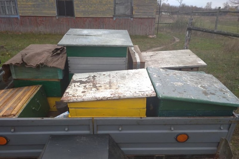 На Сновщині поліція відшукала викрадені у пасічника вулики та приладдя для бджільництва (Фото)